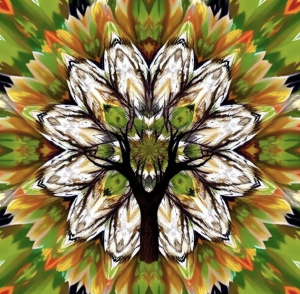 The images in this post were generated with deepai.org