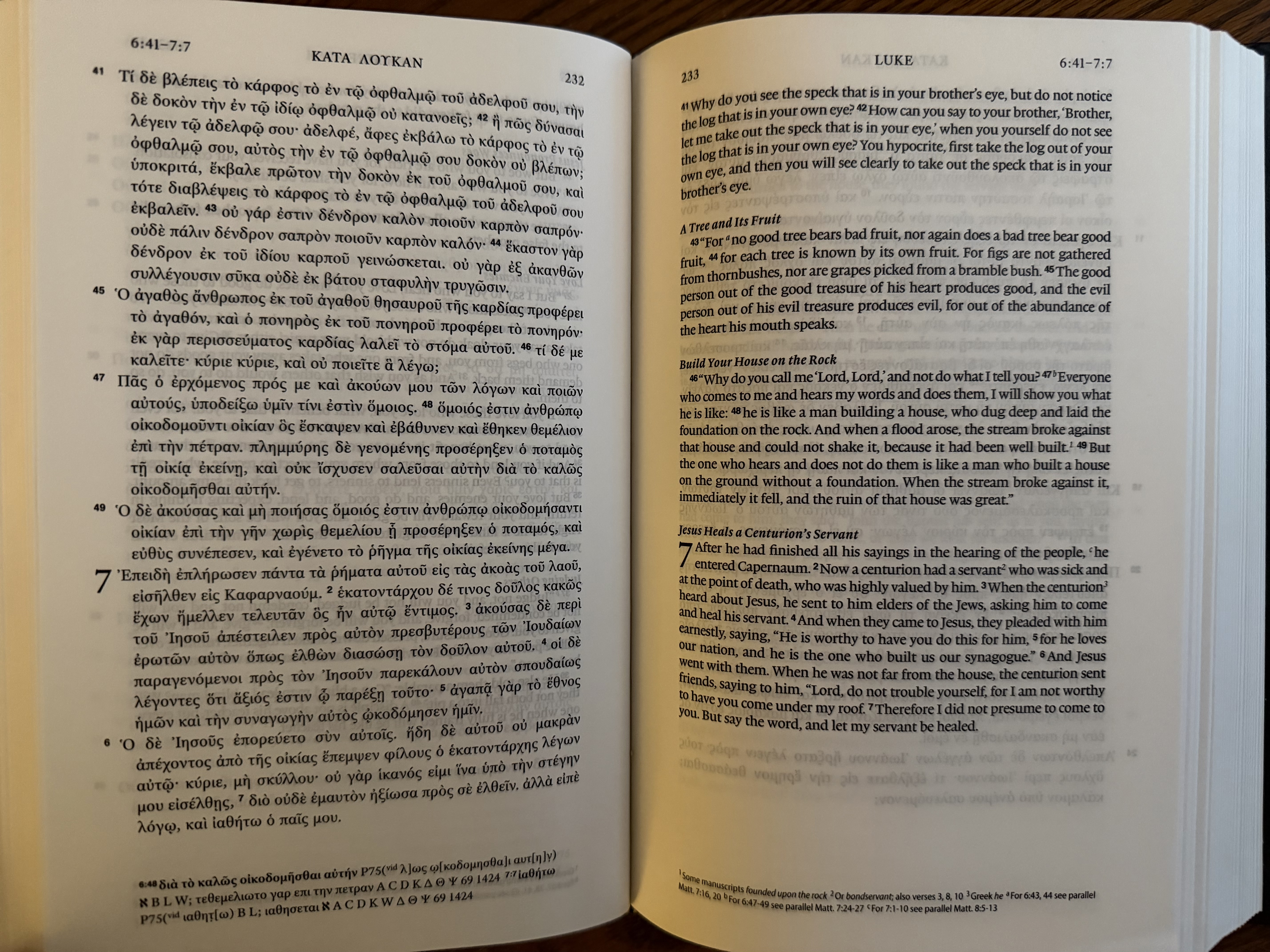 THGNT-ESV Diglot Page Layout